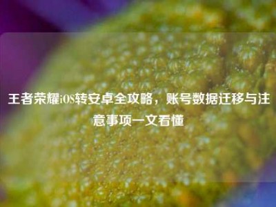 王者荣耀iOS转安卓全攻略，账号数据迁移与注意事项一文看懂