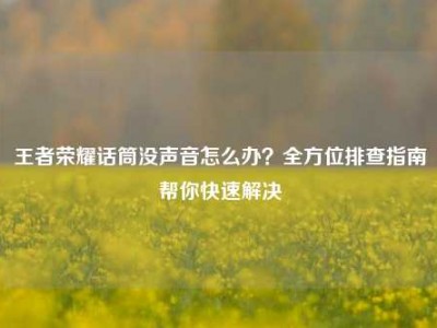 王者荣耀话筒没声音怎么办？全方位排查指南帮你快速解决