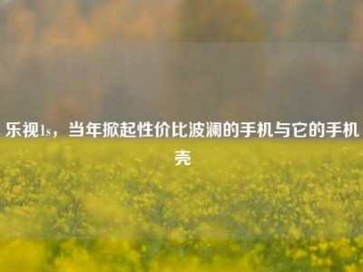 乐视1s，当年掀起性价比波澜的手机与它的手机壳