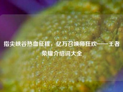 指尖峡谷热血征程，亿万召唤师狂欢——王者荣耀介绍词大全
