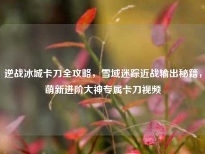 逆战冰城卡刀全攻略，雪域迷踪近战输出秘籍，萌新进阶大神专属卡刀视频
