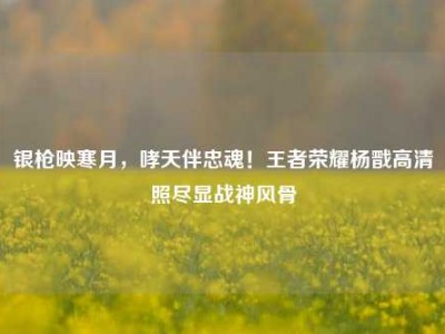 银枪映寒月，哮天伴忠魂！王者荣耀杨戬高清照尽显战神风骨