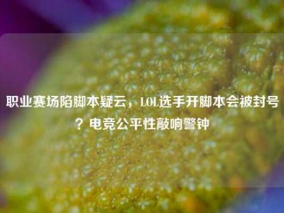 职业赛场陷脚本疑云，LOL选手开脚本会被封号？电竞公平性敲响警钟