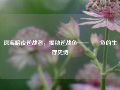 深海暗夜逆战者，揭秘逆战鱼——鮟鱇鱼的生存史诗