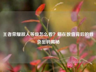王者荣耀敌人等级怎么看？藏在数值背后的胜负密码揭秘