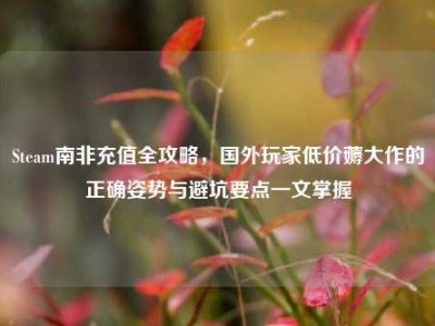 Steam南非充值全攻略，国外玩家低价薅大作的正确姿势与避坑要点一文掌握