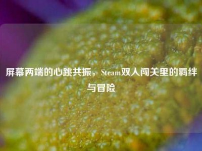 屏幕两端的心跳共振，Steam双人闯关里的羁绊与冒险