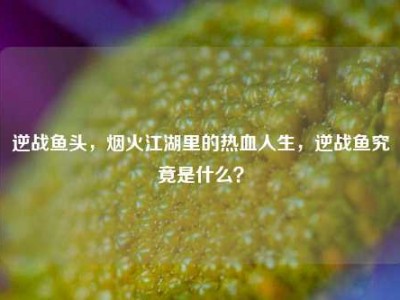 逆战鱼头，烟火江湖里的热血人生，逆战鱼究竟是什么？
