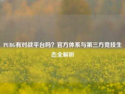 PUBG有对战平台吗？官方体系与第三方竞技生态全解析