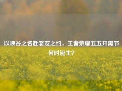 以峡谷之名赴老友之约，王者荣耀五五开黑节何时诞生？