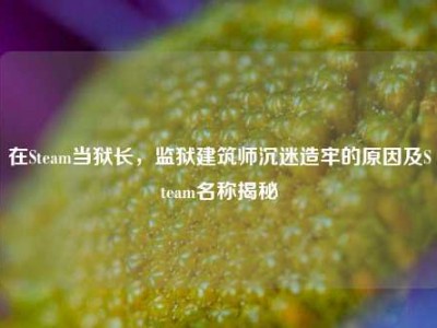 在Steam当狱长，监狱建筑师沉迷造牢的原因及Steam名称揭秘