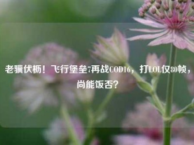 老骥伏枥！飞行堡垒7再战COD16，打LOL仅80帧，尚能饭否？