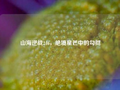 山海逆战246，绝境星芒中的勾彻