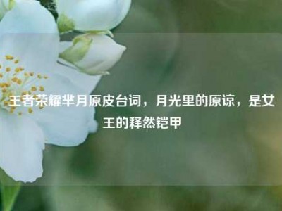 王者荣耀芈月原皮台词，月光里的原谅，是女王的释然铠甲