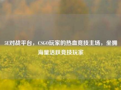 5E对战平台，CSGO玩家的热血竞技主场，坐拥海量活跃竞技玩家