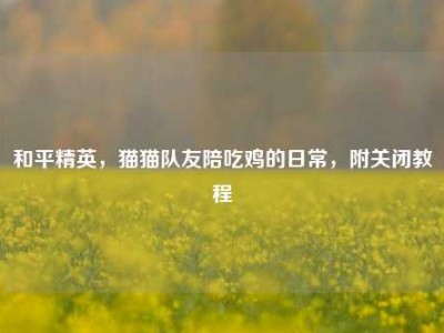 和平精英，猫猫队友陪吃鸡的日常，附关闭教程