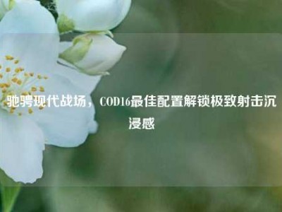驰骋现代战场，COD16最佳配置解锁极致射击沉浸感
