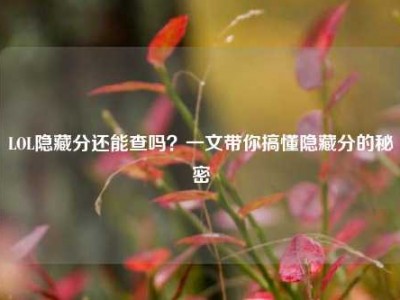 LOL隐藏分还能查吗？一文带你搞懂隐藏分的秘密