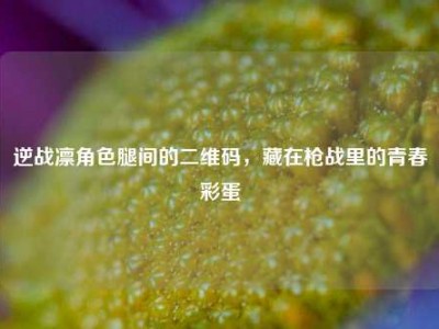 逆战凛角色腿间的二维码，藏在枪战里的青春彩蛋