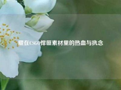藏在CSGO悍匪素材里的热血与执念