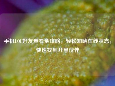 手机LOL好友查看全攻略，轻松知晓在线状态，快速找到开黑伙伴