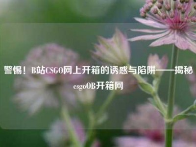 警惕！B站CSGO网上开箱的诱惑与陷阱——揭秘csgoOB开箱网