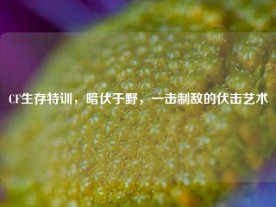 CF生存特训，暗伏于野，一击制敌的伏击艺术