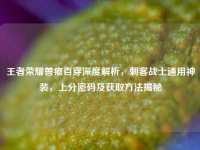 王者荣耀兽痕百穿深度解析，刺客战士通用神装，上分密码及获取方法揭秘