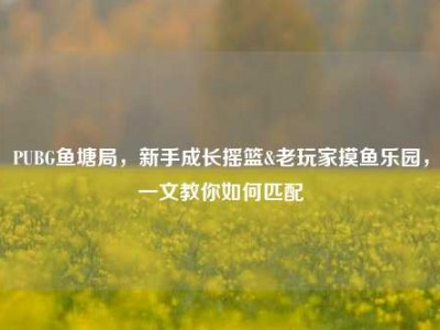 PUBG鱼塘局，新手成长摇篮&老玩家摸鱼乐园，一文教你如何匹配
