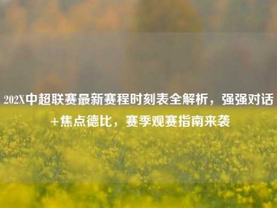 202X中超联赛最新赛程时刻表全解析，强强对话+焦点德比，赛季观赛指南来袭