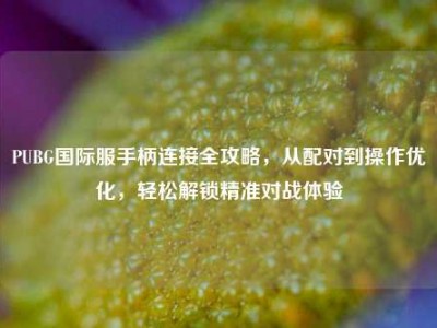 PUBG国际服手柄连接全攻略，从配对到操作优化，轻松解锁精准对战体验