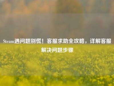 Steam遇问题别慌！客服求助全攻略，详解客服解决问题步骤