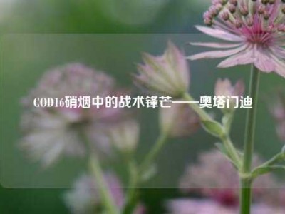 COD16硝烟中的战术锋芒——奥塔门迪