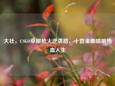 大壮，CSGO草根枪火逆袭路，十首金曲唱响热血人生