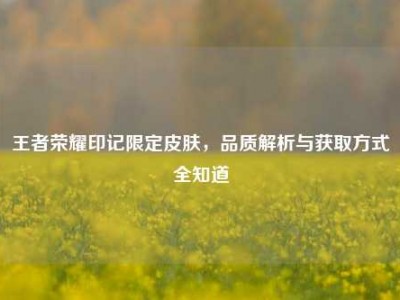 王者荣耀印记限定皮肤，品质解析与获取方式全知道
