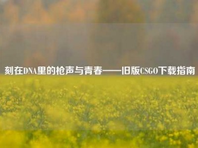 刻在DNA里的枪声与青春——旧版CSGO下载指南