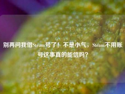 别再问我借Steam号了！不是小气，Steam不用账号这事真的能信吗？