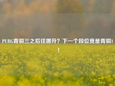 PUBG青铜三之后往哪升？下一个段位竟是青铜1！