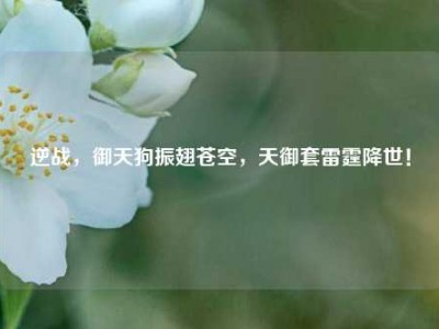 逆战，御天狗振翅苍空，天御套雷霆降世！