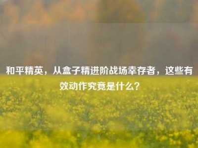 和平精英，从盒子精进阶战场幸存者，这些有效动作究竟是什么？
