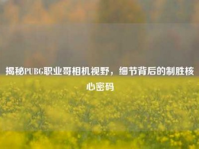 揭秘PUBG职业哥相机视野，细节背后的制胜核心密码