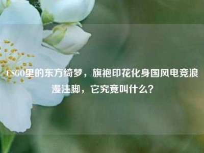 CSGO里的东方绮梦，旗袍印花化身国风电竞浪漫注脚，它究竟叫什么？