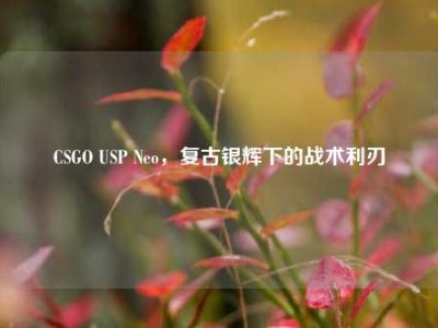 CSGO USP Neo，复古银辉下的战术利刃