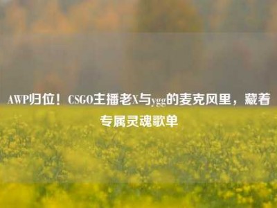 AWP归位！CSGO主播老X与ygg的麦克风里，藏着专属灵魂歌单