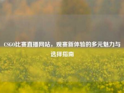 CSGO比赛直播网站，观赛新体验的多元魅力与选择指南