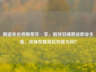 斯诺克名将斯蒂芬·李，假球丑闻葬送职业生涯，终身禁赛背后究竟为何？