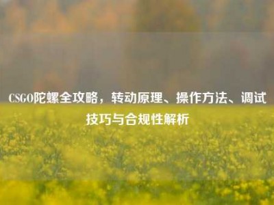 CSGO陀螺全攻略，转动原理、操作方法、调试技巧与合规性解析