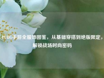 PUBG手游全服饰图鉴，从基础穿搭到绝版限定，解锁战场时尚密码