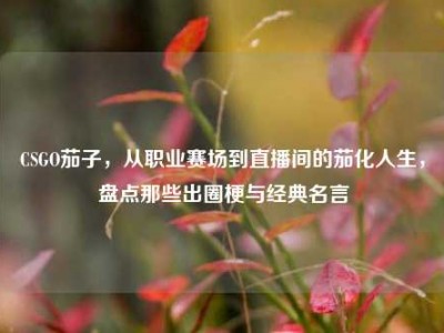 CSGO茄子，从职业赛场到直播间的茄化人生，盘点那些出圈梗与经典名言