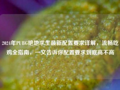 2024年PUBG绝地求生最新配置要求详解，流畅吃鸡全指南，一文告诉你配置要求到底高不高